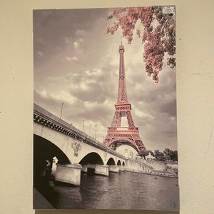 Almost can match any setting with black,white or pink in it.